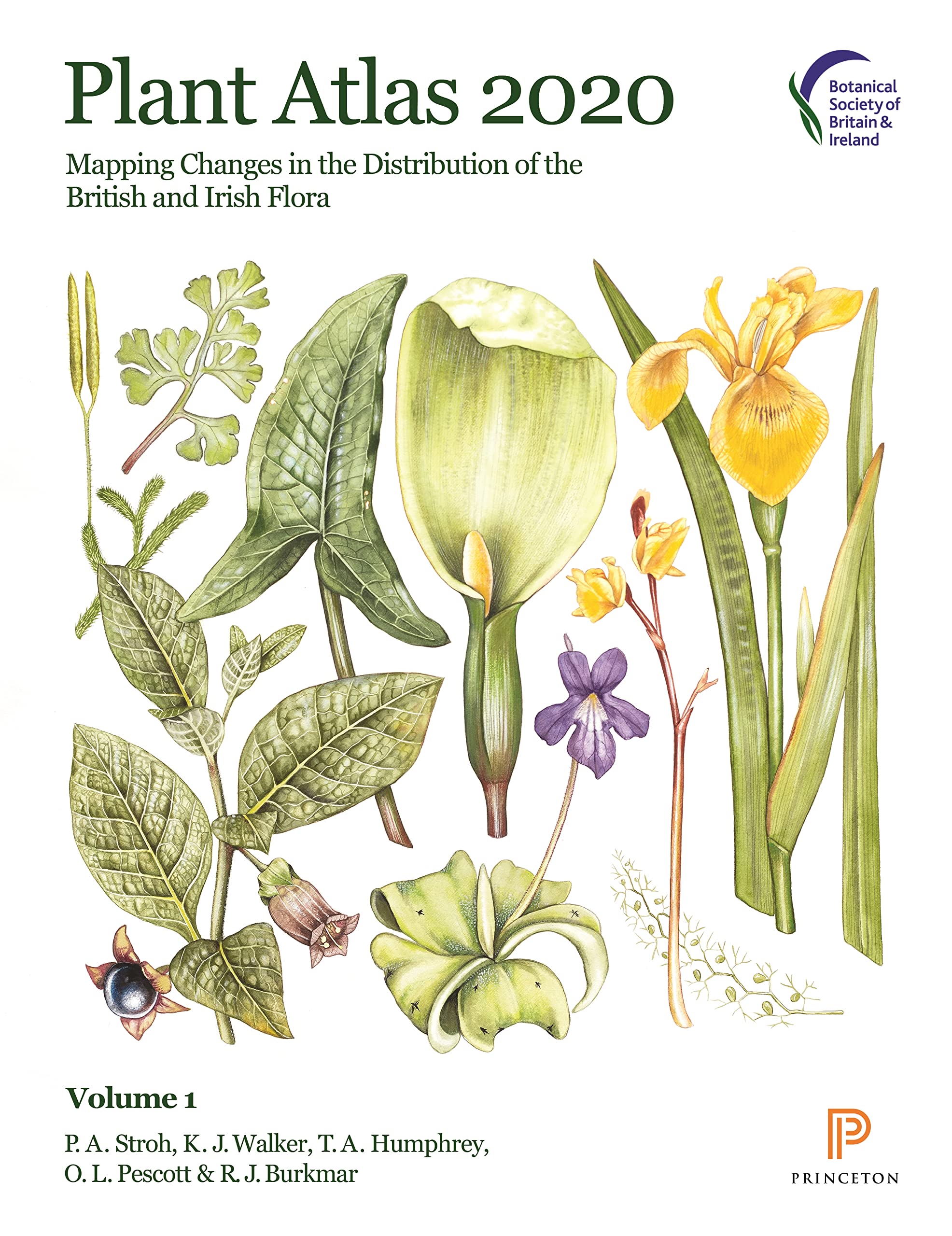 The Making of Plant Atlas 2020, From Field to Folio