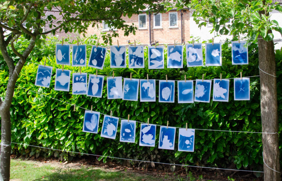 Cyanotype Photography for Beginners