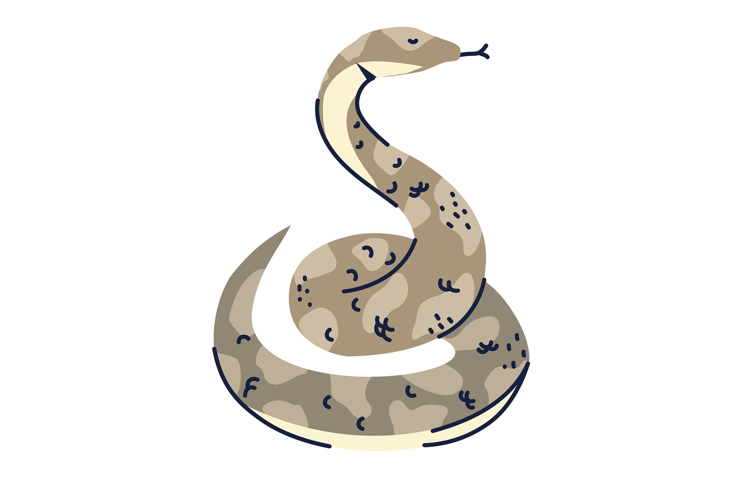 Craft Activity: Slithery Snakes