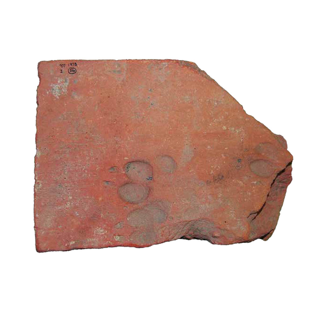 Roman Tile