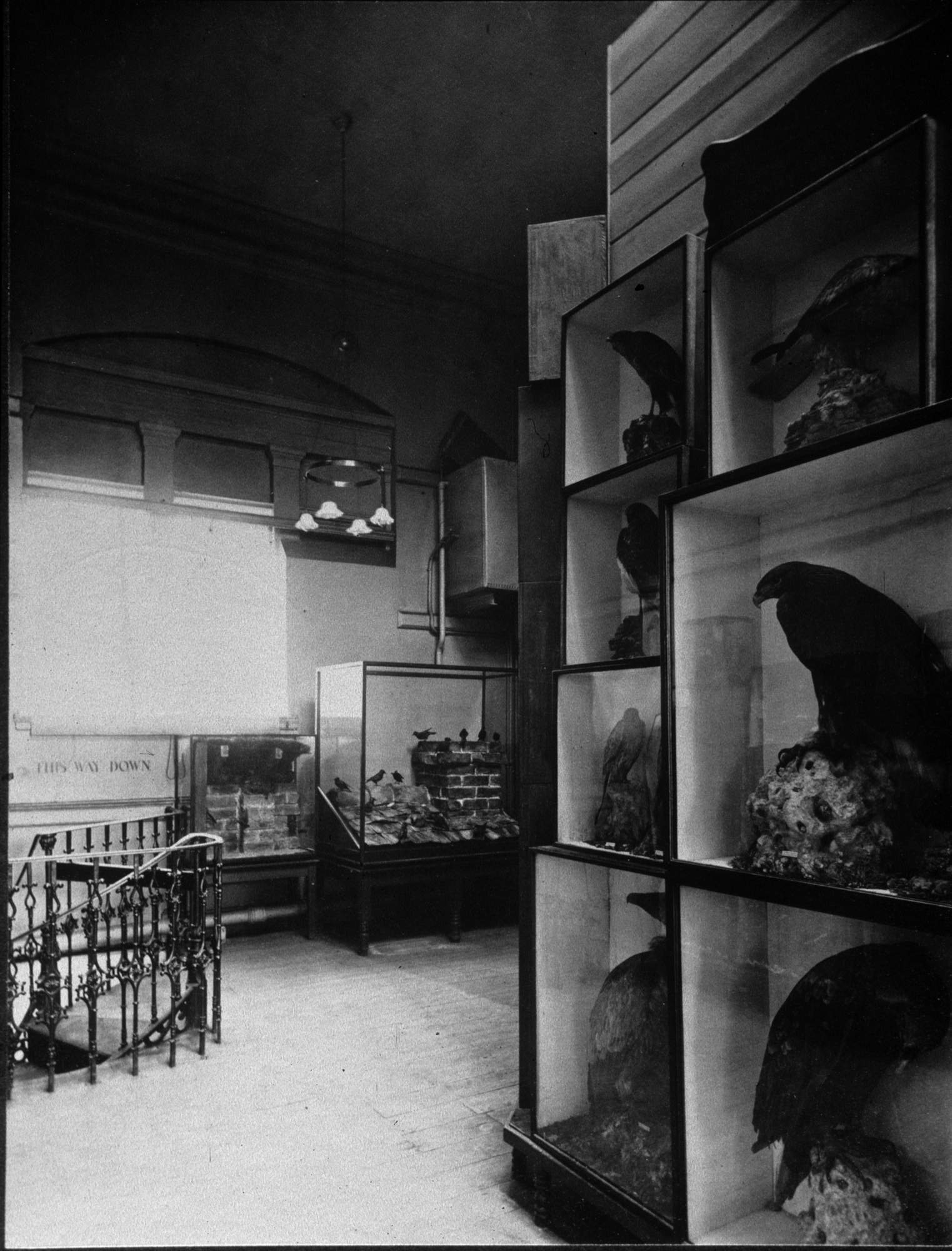Bickley Room 1905 1910